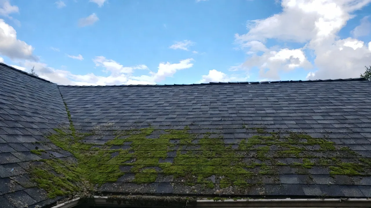 Soft-wash roof cleaning on a Spokane home — moss and algae removed safely from asphalt shingles